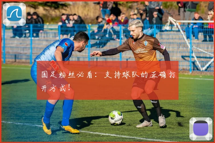 国足粉丝必看：支持球队的正确打开方式！